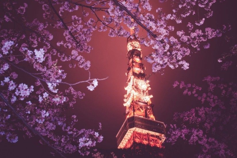cherry blossom beautiful backgrounds desktop