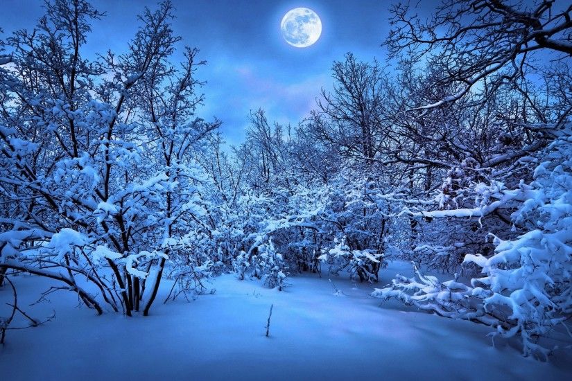 beautiful winter moon HD wallpapers