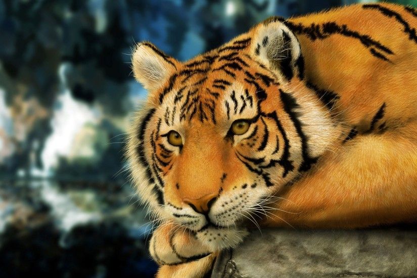 tiger face big cat