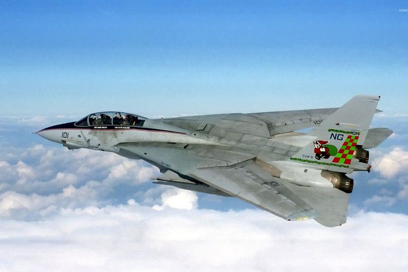 Grumman F-14 Tomcat wallpaper