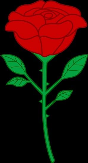 Backgrounds wallpaper cave red transparent red rose tumblr roses with white backgrounds  wallpaper cave dope wallpapersafari