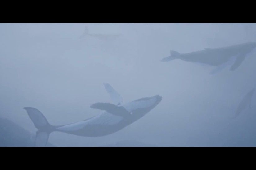 FLYING WHALES