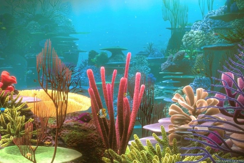 Colorful Coral Reef Desktop, Under Water Wallpaper, hd phone .