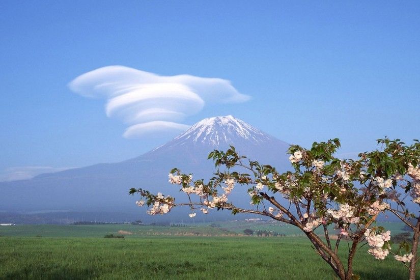 Blossoms Japan Mount Cherry Trees Flowers Spring Clouds Landscapes Fuji  Nature Image For Background - 1920x1200