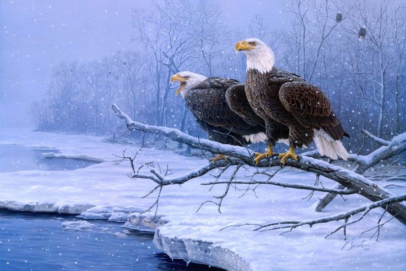 Animal - Bald Eagle Wallpaper
