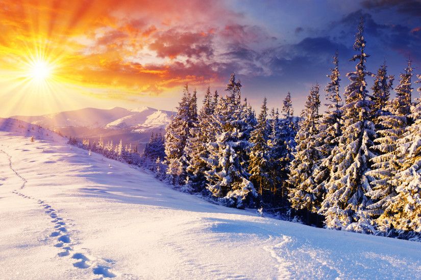 Free Winter Background Images