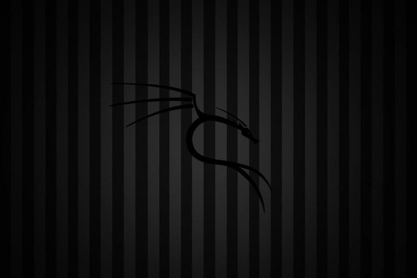 Black background Kali Linux