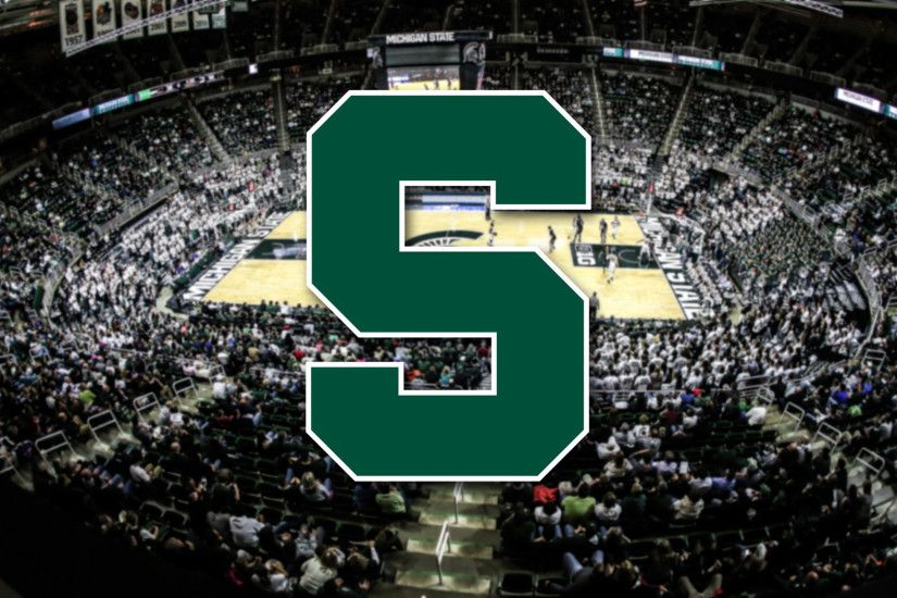 thumbnail image 2 of MSU Spartans 4x6 Foot Sparty Head Flag - Officially Licensed College Banner 2 of 9