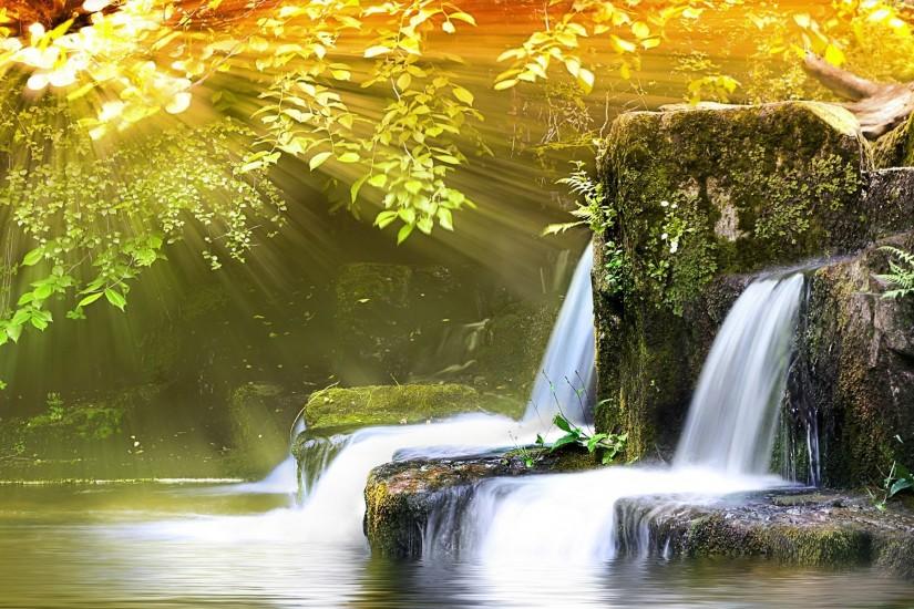 download free nature background 1920x1200 pictures