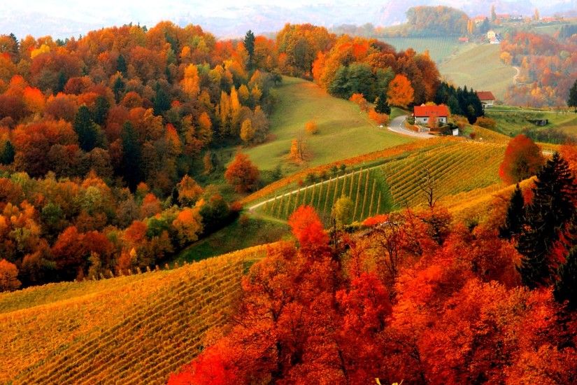Mountain Village In Autumn Computer Wallpapers Desktop Photography  Landscape Fall Foliage House Tree Vineyard Wallpaper