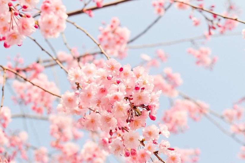 The Best Spring Photos on Instagram