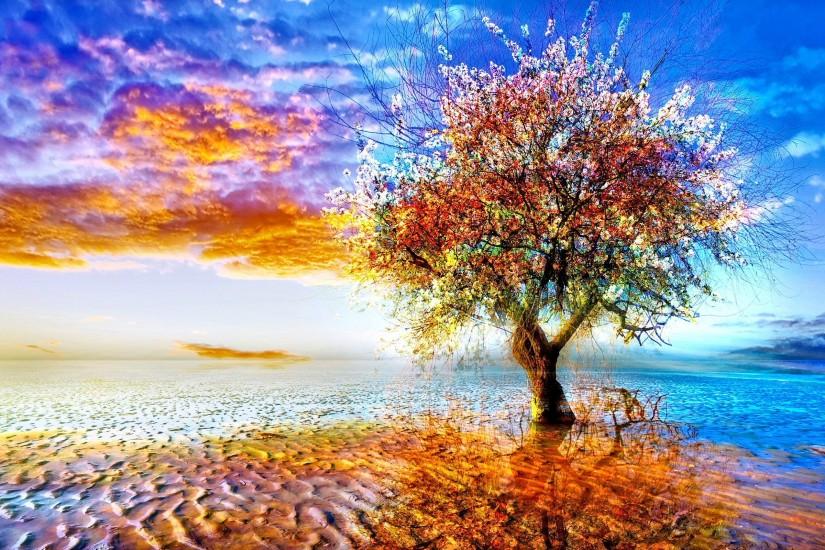 amazing tree wallpaper 2560x1600 for phone