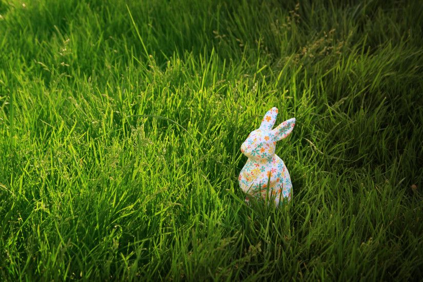 Bunny in the Grass Â· Beautiful Easter Wallpapers 2012