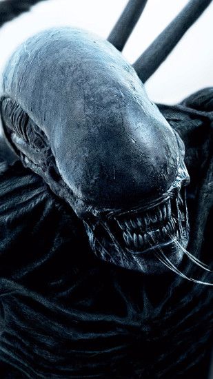Pictures Alien: Covenant Monsters Teeth Movies 1440x2560