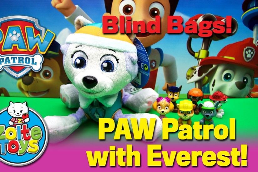Best PAW Patrol Mini Blind Bags opening. Chase Marshall Skye Zuma Rocky  Rubble Everest - YouTube
