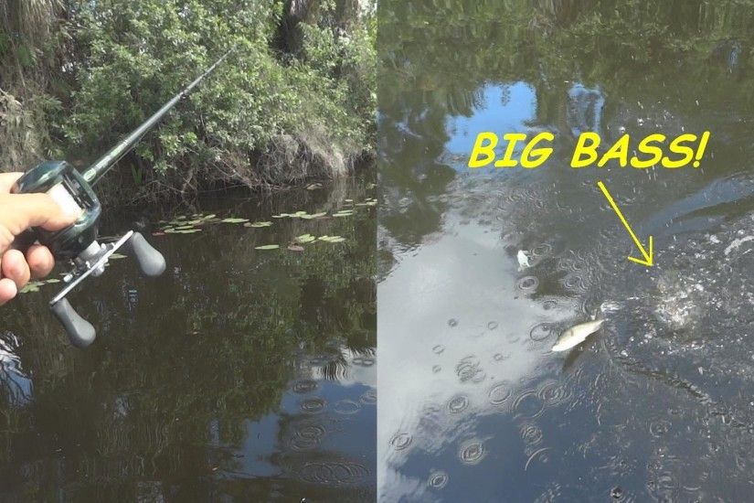CRAZY BIG BASS ATTACKS HOOKED BASS! - ATTACK IN SLOW ... Bass Jumping