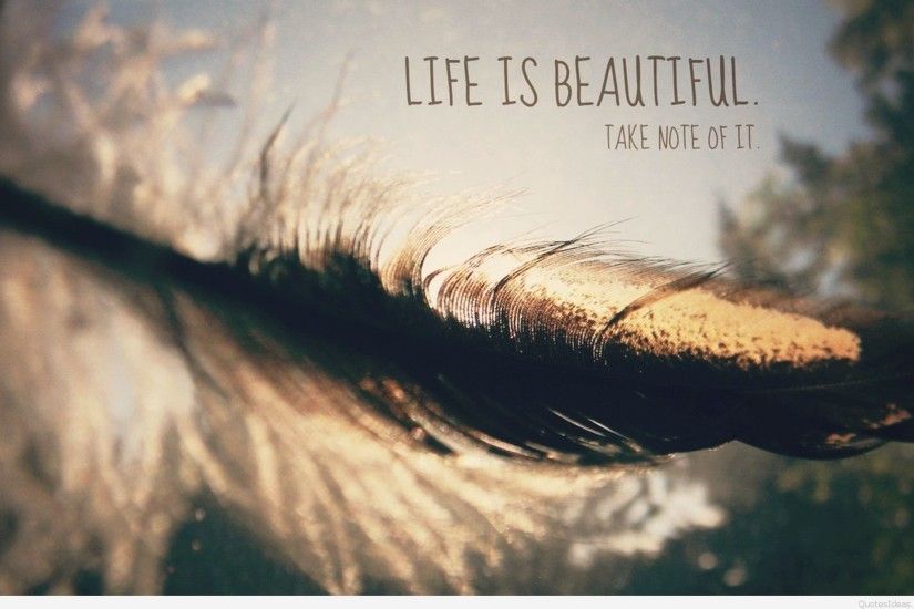 Life is beautiful HD wallpaper with quote