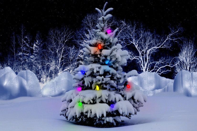 Beautiful Snowy Christmas Tree Wallpaper