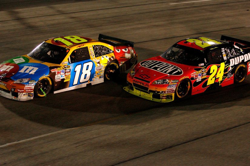 Kyle Busch 2010 .NASCAR Paint 2010 .