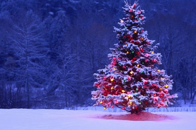 Christmas Tree Wallpapers Background