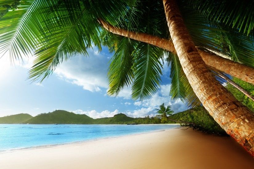 Ocean, Clouds, Palms, Sea, Shore, Landscape, Nature, Caribbean,