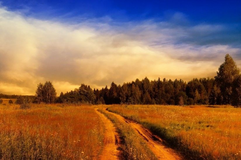 Path on the rusty field towards the forest wallpaper 1920x1080 jpg