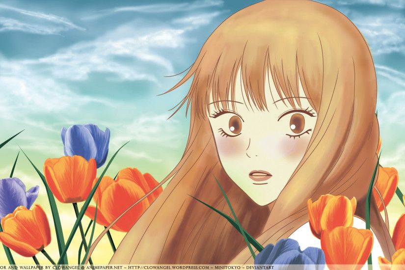 Kimi ni Todoke : Tulips and Skies kimi_ni_todoke_01