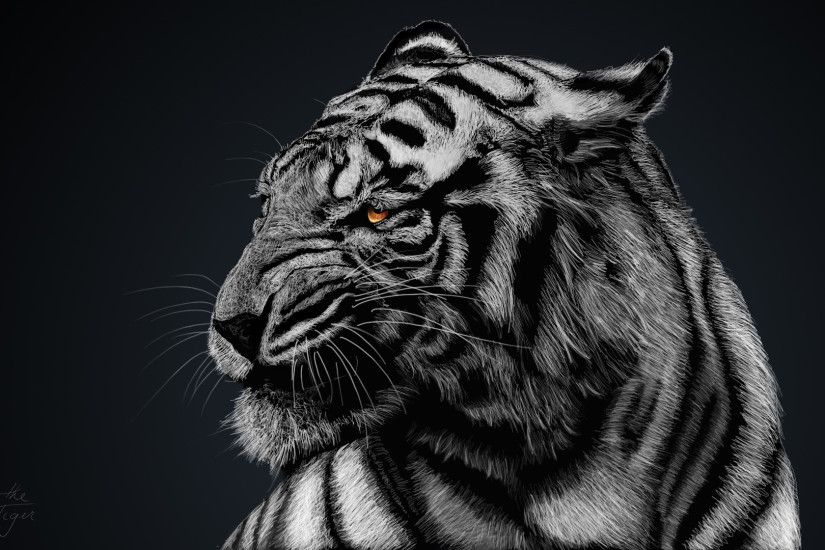 White Tiger Wallpapers : Get Free top quality White Tiger Wallpapers for  your desktop PC background