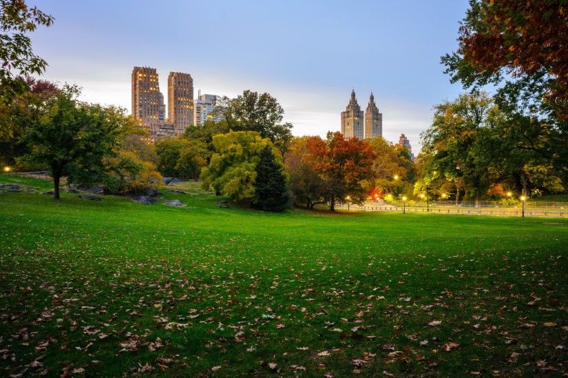 4K HD Wallpaper: View from Central Park, NY Â· Central Park Green "Corner"