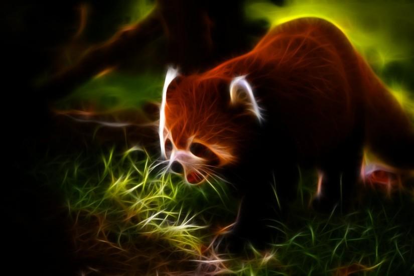 Animals Fractalius red pandas wallpaper | 1920x1080 | 241087 | WallpaperUP