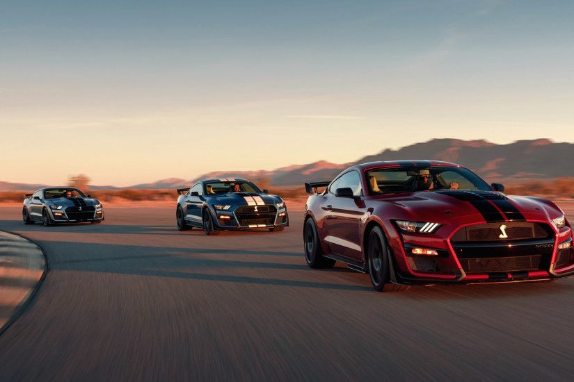 2020 Ford Mustang Shelby GT500 picture.