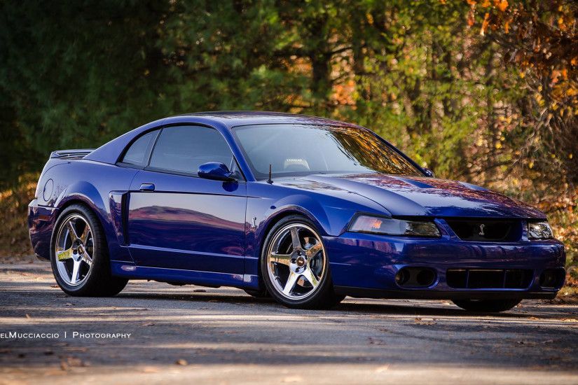 ... 2003-04 Mustang SVT Cobra with the Terminator engine | The Word of .