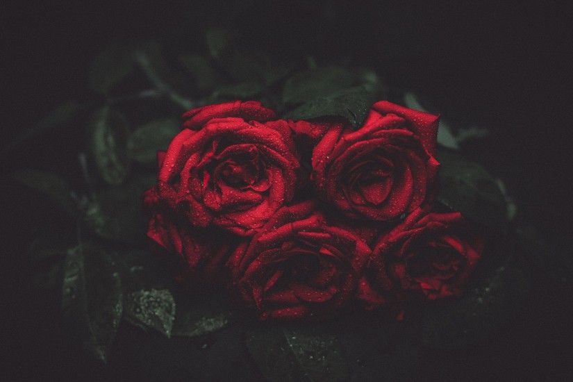 Love Symbol Red Roses - Image #10 - <script async src="/
