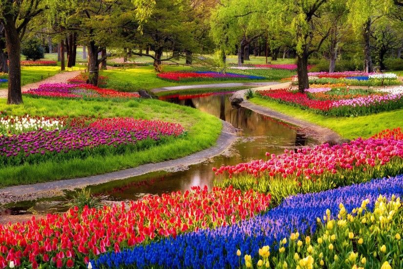 Colorful-Garden-Flowers-hd-free-wallpapers