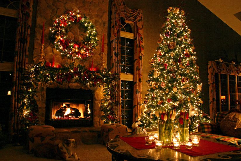 Christmas Christmas Lights Christmas Tree Â· HD Wallpaper | Background  ID:300958