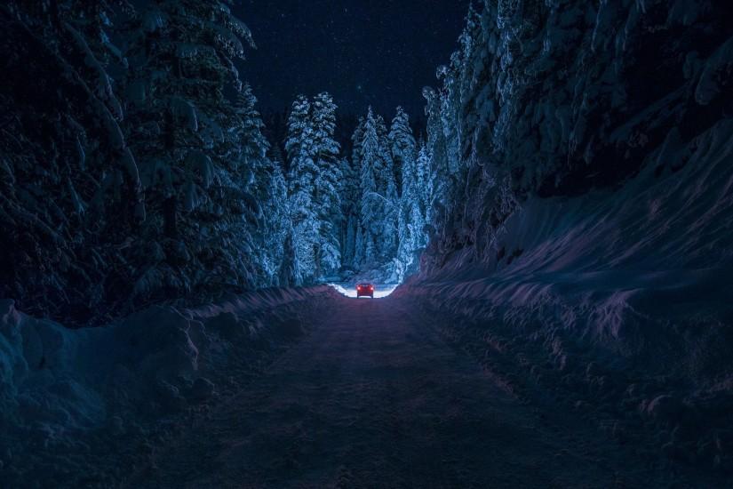 winter, Night, Nature, Forest, Snow, Path Wallpaper HD