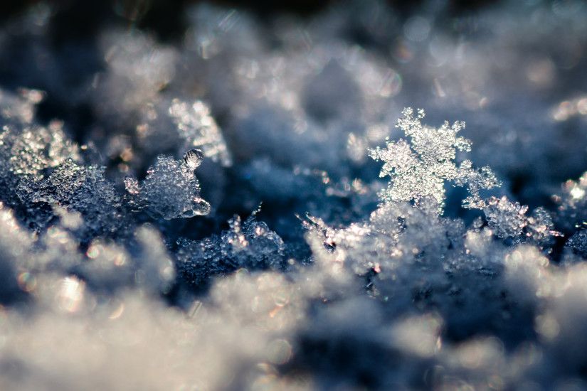 Previous: Snow Crystal Landscape ...