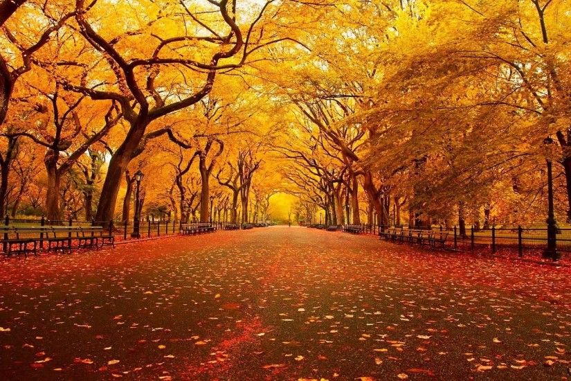 ... autumn-wallpapers-9 ...