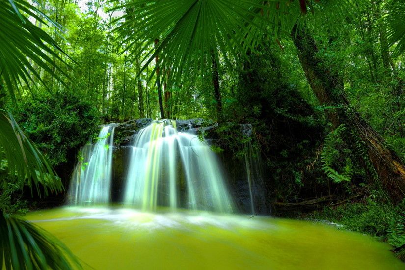 Beautiful Nature Waterfall Green Forest HD Wallpaper. Search more high .