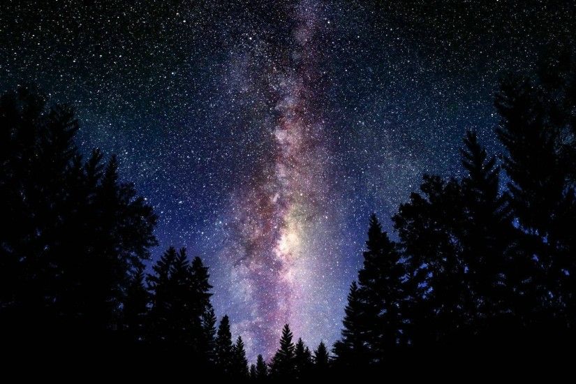 digital art space forest forest clearing stars wallpapers hd