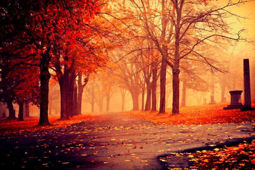 Cute Autumn Wallpapers Group (58+)