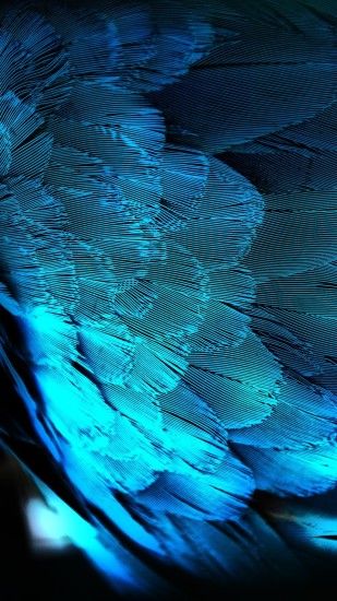 Blue HD Peacock Feathers Android Wallpaper free download