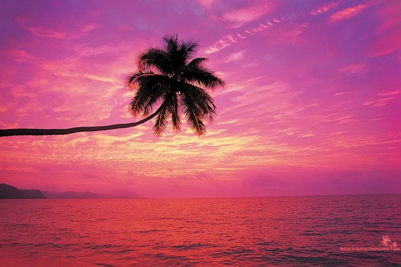 Pink Beach Sunset Wallpaper Hi