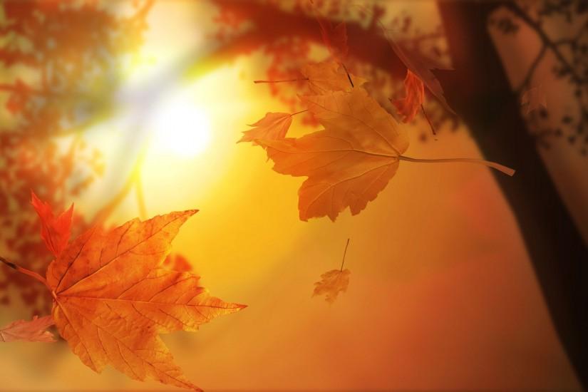 autumn background 1920x1200 for iphone 5