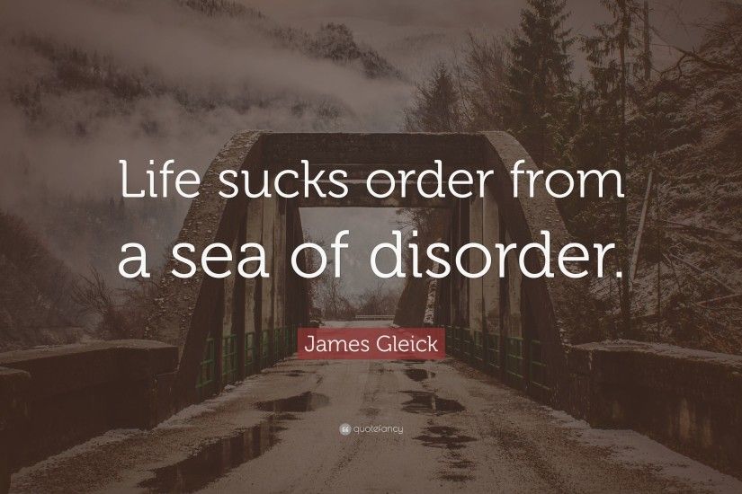 James Gleick Quote: “Life sucks order from a sea of disorder.”