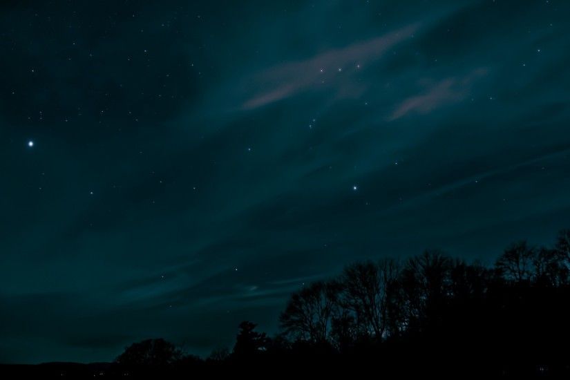 Preview wallpaper night, sky, stars, trees 1920x1080
