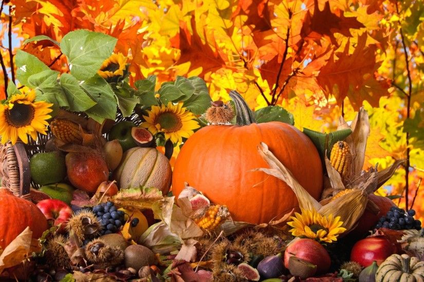 Thanksgiving HD Wallpapers.