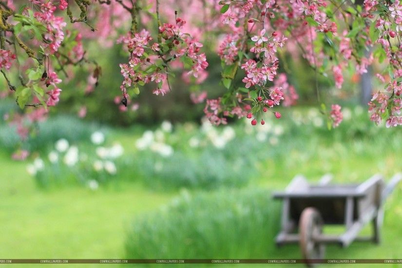 Image for Beautiful Spring Wallpaper HD
