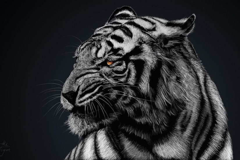 1920x1080 HD Wallpaper | Background ID:418656. 1920x1080 Animal White Tiger