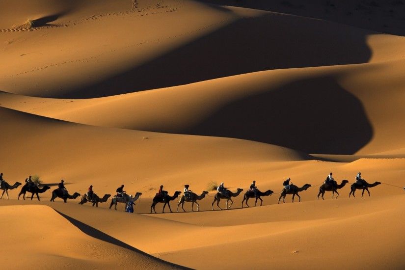 Photography - Caravan Camel Camel Train Camel Caravan Desert Sand People  Morocco Wallpaper